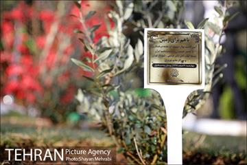 آیین کاشت نهال دوستی با حضور همسران دیپلمات مقیم ایران 29