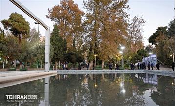 بازدید کمیسیون برنامه و بودجه شورای شهر از پروژه‌های منطقه 11 55