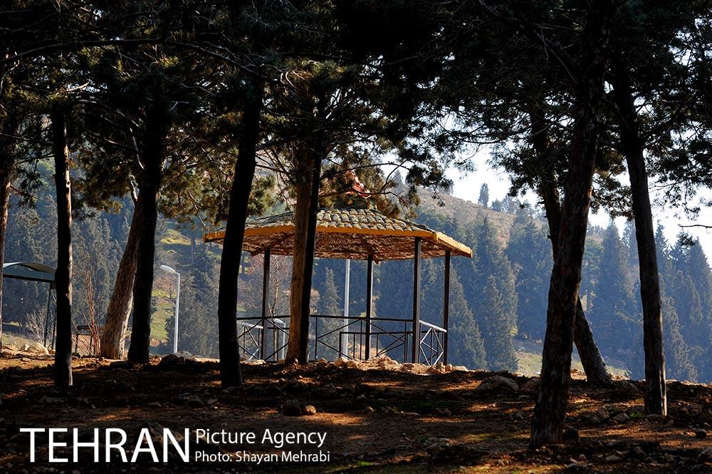 پارک جنگلی سرخه حصار 14