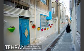 کوچه امیدی رنگ نوروز گرفت 13
