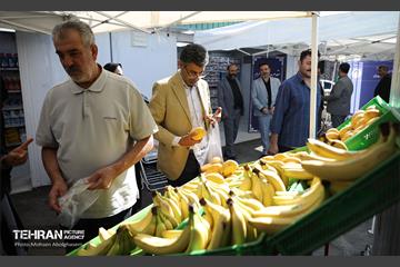 افتتاح ۲ بازار میوه و تره‌بار در تهران 9