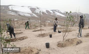 آیین روز درخت‌کاری و پایان پروژه کاشت ۲۵۰۰ هکتار کمربند سبز پایتخت  7