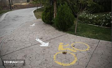 طبیعت پاییزی باغ راه فدک تهران 10