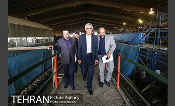 بازدید شهردار از مرکز بازیافت زباله آرادکوه کهریزک 8