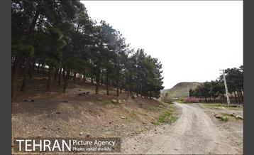 پارک ملی سرخه‌حصار 22