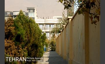 بوستان بنفشه 9