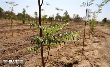 بازدید اصحاب رسانه از روند انجام عملیات احیای چیتگر 5