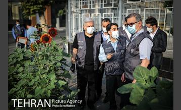 طرح پیمایش محلات منطقه ۹ با حضور رئیس دفتر شهردار تهران 29