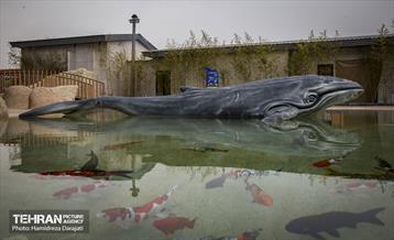 اقیانوس پارک  25