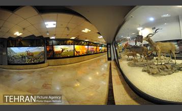 موزه حیات وحش پردیسان 48
