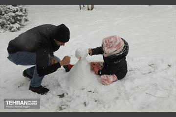 بارش برف زمستانی در منطقه ۲ 12