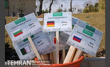 مراسم کاشت درخت صلح و دوستی 4