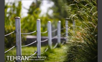 بوستان جوانمردان 17