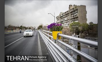 استقبال از بهار در خیابانهای تهران 11