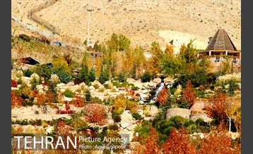 آبشار رنگارنگ 15