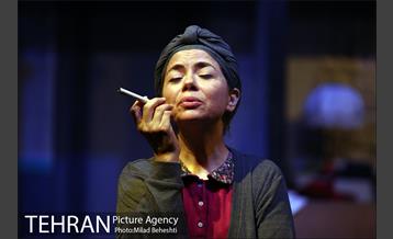 نمایش اثر پرتوهای گاما بر گل های همیشه بهار 1