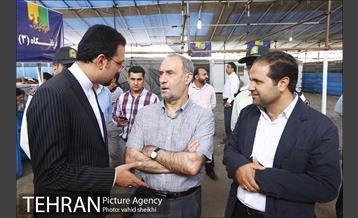 عرضه بهداشتی دام در جایگاه منطقه 2 شهرداری تهران  19