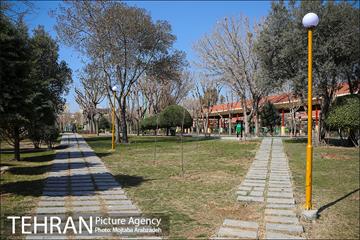 آیین درختکاری دوچرخه سواران تهران 26