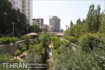 بوستان تندرستی 12