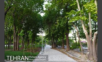 بوستان پلیس 6