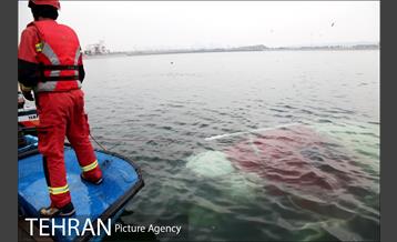 سقوط یه فروند بالگرد در دریاچه شهدای خلیج فارس 1