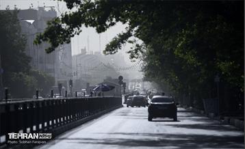 تهران خاکستری 19