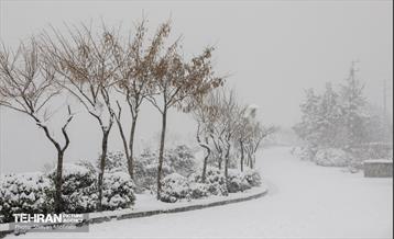 بارش برف زمستانی در تهران 25