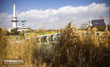 سمفونی رنگ های پاییزی - بوستان رازی 17