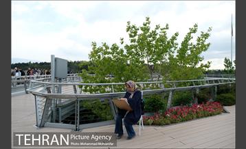 اولین جشنواره شهروند نقاش 6