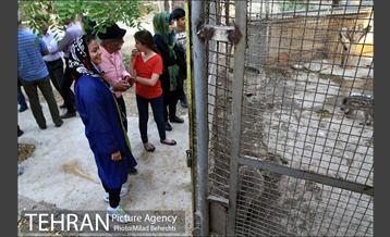 نشست تغییرات اقلیمی با حضور هنرمندان و فعالان محیط زیست‎ 22