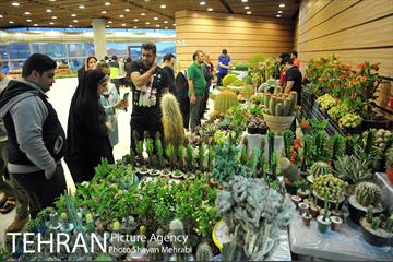 شانزدهمین نمایشگاه بین المللی گل و گیاه تهران - 2 48