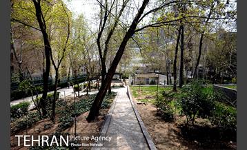 بوستان نیاوران 28