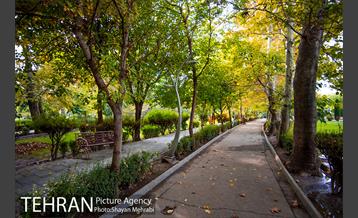 پاییز بوستان لاله 27