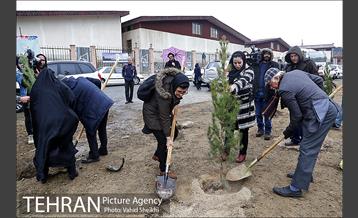 آغاز عملیات اجرایی نهضت درختکاری پردیس گردشگری 22