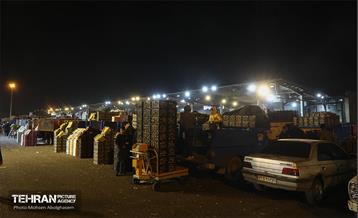 تره‌بار یلدایی 84