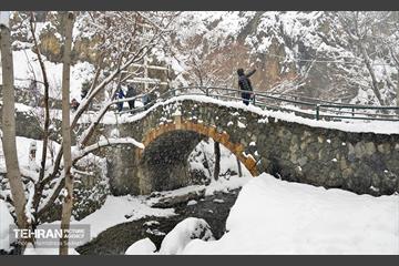 بارش برف زمستانی در منطقه 1 9