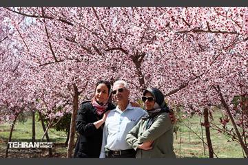 شکوفه‌های بهاری در بوستان سمن‌ها 21
