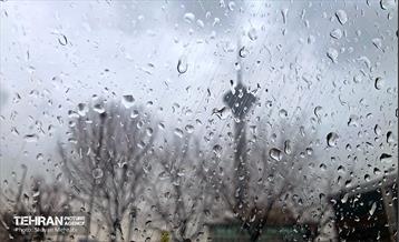 بارش باران زمستانی در تهران 37