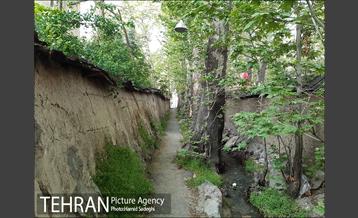 به بهانه روز شمیران 22