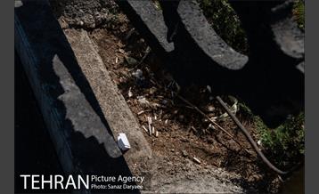 فیلتر سیگار زباله است 13