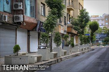 باز پیرایی خیابان 50 ساله 18