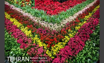 هفدهمین نمایشگاه بین‌المللی گل و گیاه 21