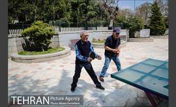 بوستان نیاوران در یک روز آفتابی 11