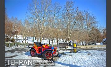 فصل زمستان در بوستان ملت 37