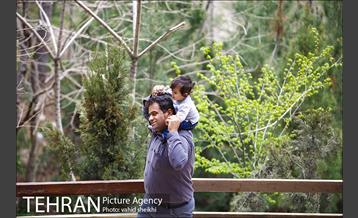 بوستان طالقانی 23