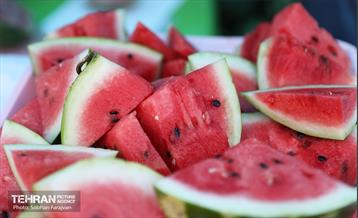 جشن ۱۰ کیلومتری غدیر 46