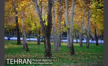 پاییز در بوستان ملت 25