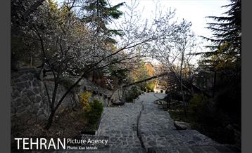 بوستان جمشیدیه (باغ سنگی جمشیدیه) 45