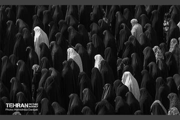 تجلی «حب‌الحسین یـجمعنا» 30