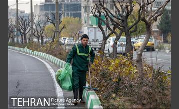 آغاز فصل هرس درختان- 2